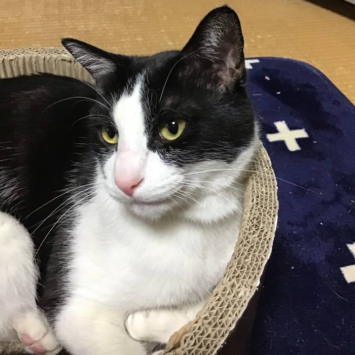 5f69fbff aec9 449d b2c6 f58e58e8e31a 1713780149041