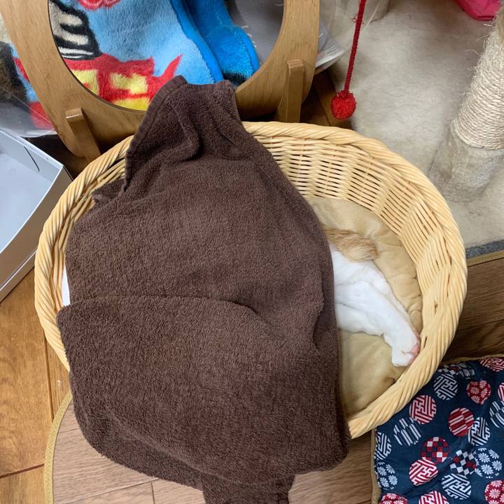 5f6a1379 9f8d 4091 86ab 5afb6fa84756 1584534959145