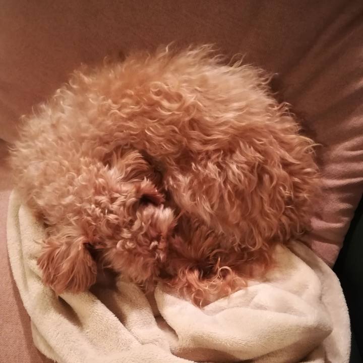 5f6a1e21 5ec7 4c1d 9659 615c555eea18 1574502584295