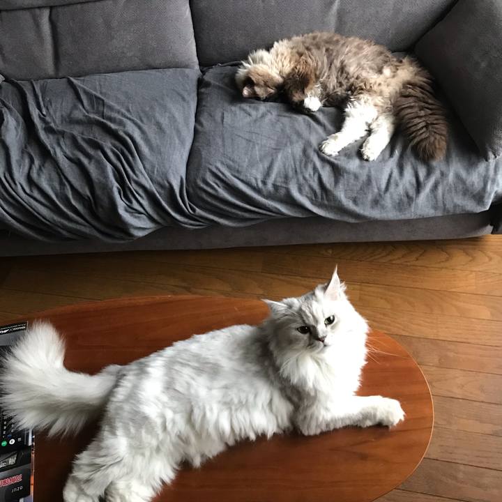 5f6a54c5 ed21 40ed 9846 6a113cfbc589 1567741163693