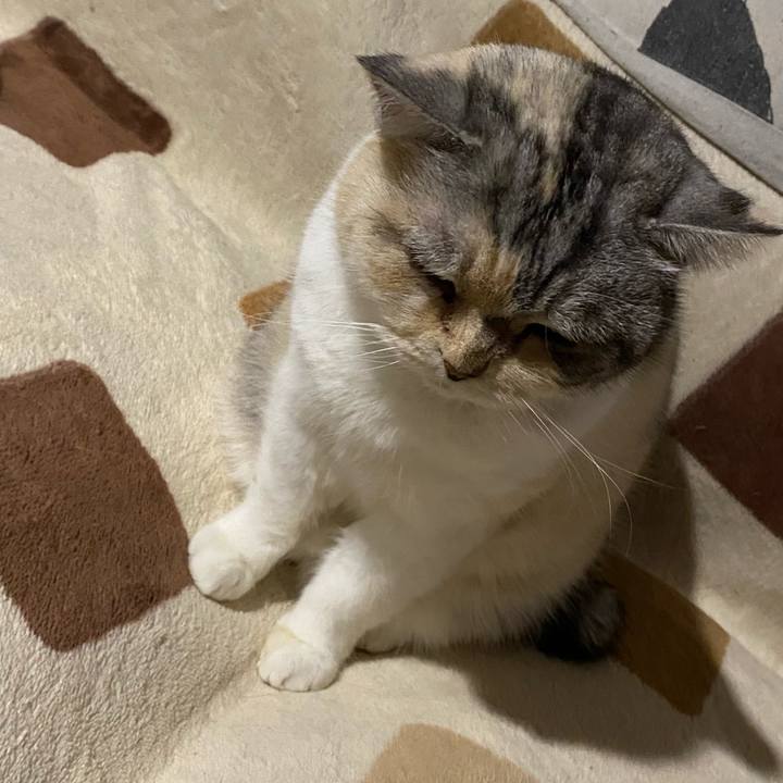 5f6a78c7 756f 49a9 b9db 86196b768bab 1677336816369