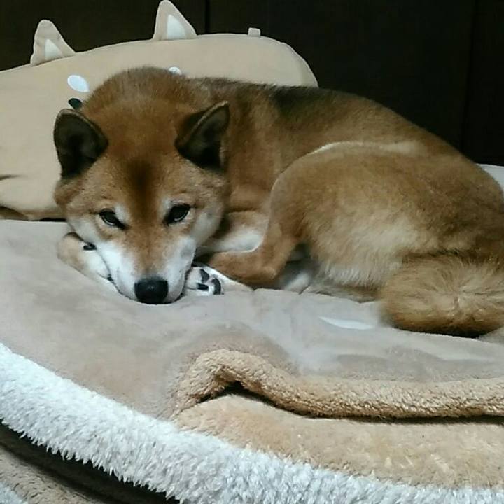 5f6a9c80 425f 4079 8efc 6c673a8b28a6 1578833262348