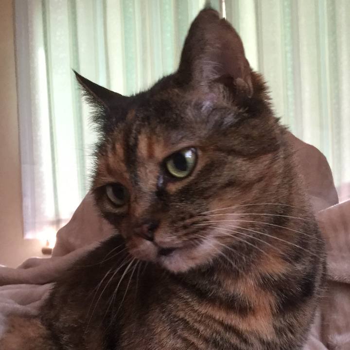 5f6aaa51 3e1d 418c 9aaf ad56fd867010 1554467027336