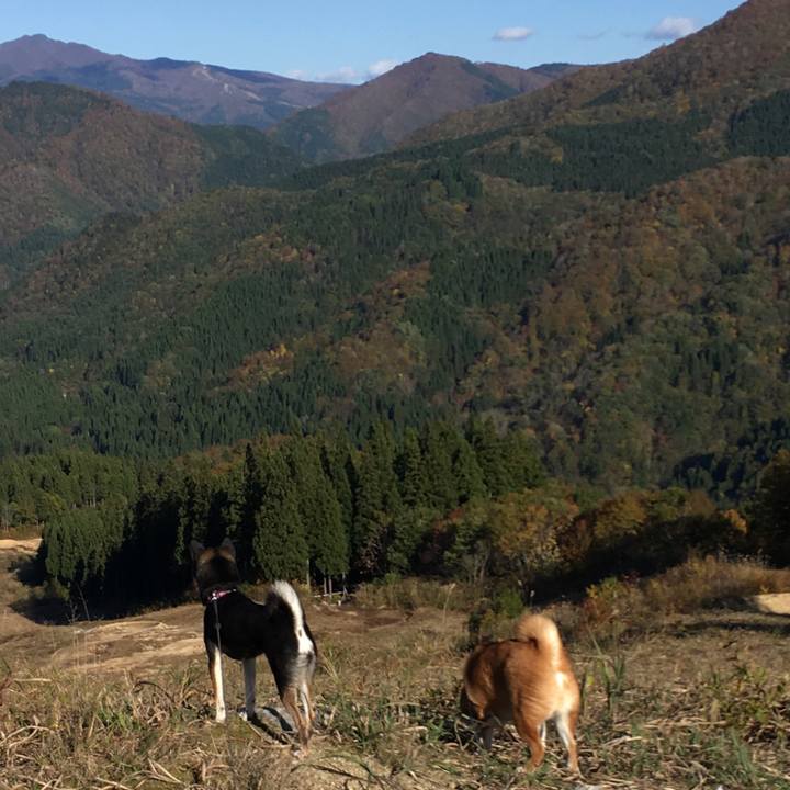 5f6ab4c7 a1b8 450e b5cd db0724e13733 1573182956627