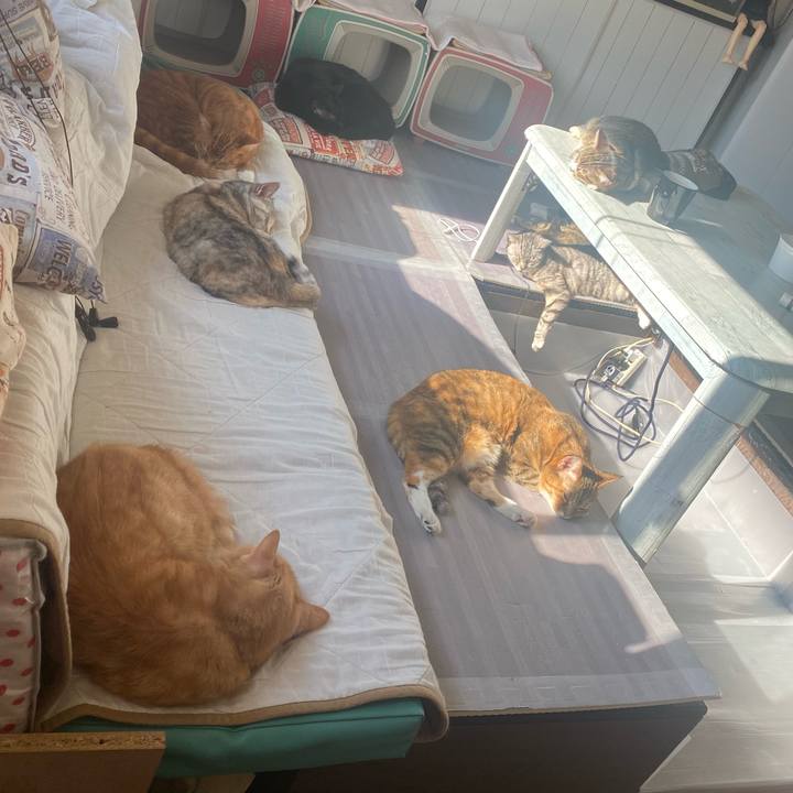 5f6ae4d5 b15c 402f 9ff2 c3938de919ab 1639534813810