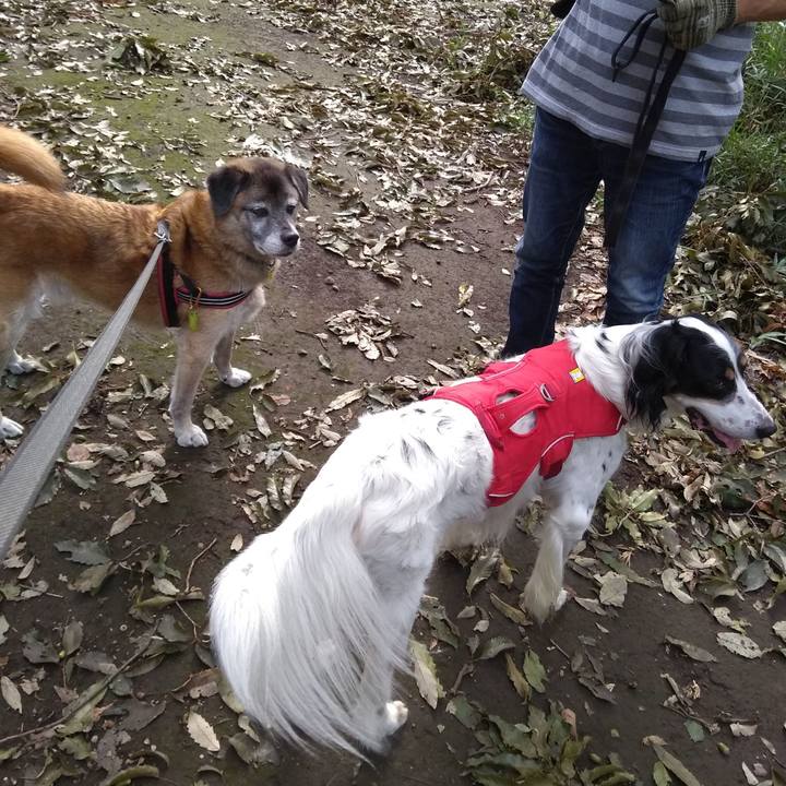 5f6aed7e 5e85 4867 917a 8eb2f1725c43 1568249124498