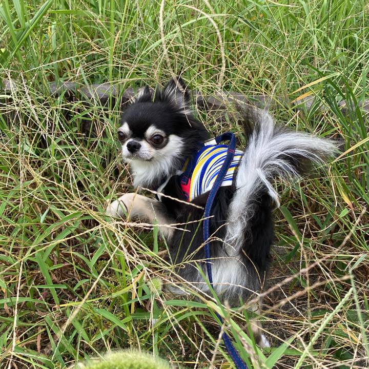 5f6af7e9 e45a 437d 91fa 051dc4a00521 1696776870006