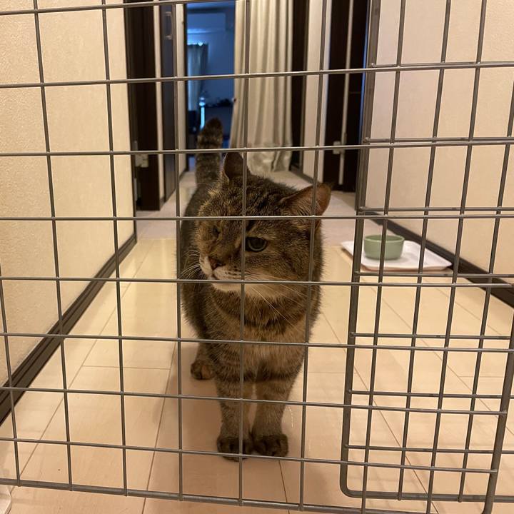 5f6b100d 0922 41e3 bd54 06048c4ac9b9 1749595489878