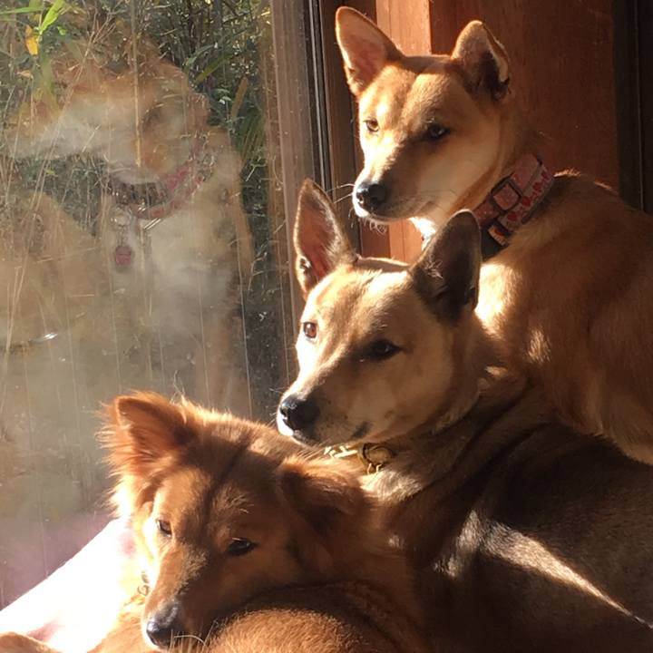 5f6b2d42 9f41 4357 8bc3 92d03d75d829 1513390313375