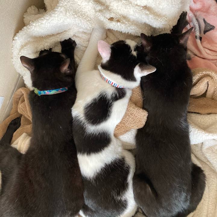 5f6b3cfe 655b 43da 8c1c 86122500ef2a 1661171912276