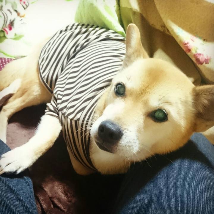 5f6b4cd2 17a9 4a33 b9b8 ac716c02b4b9 1585479518884