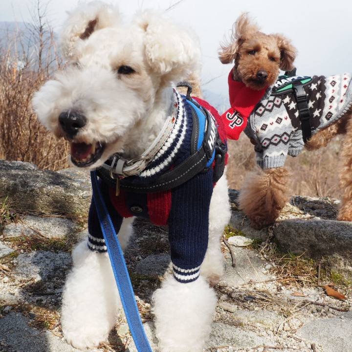 5f6b587e a574 4b9c bda4 d528a4775c94 1550298998230