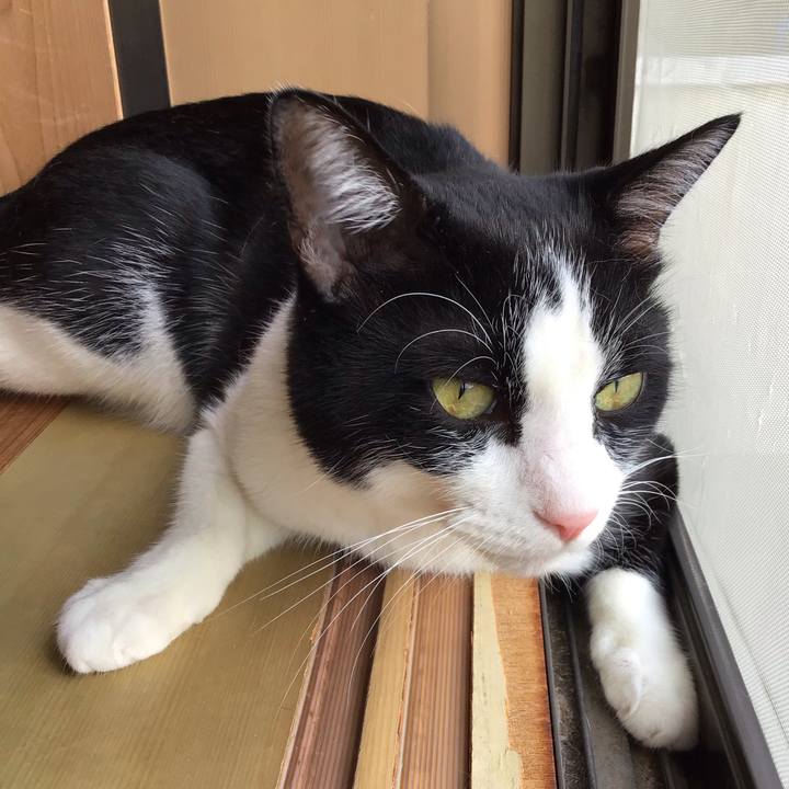 5f6b5eb3 f1d6 4d71 bb59 0e69e7a6cb4f 1724142103394