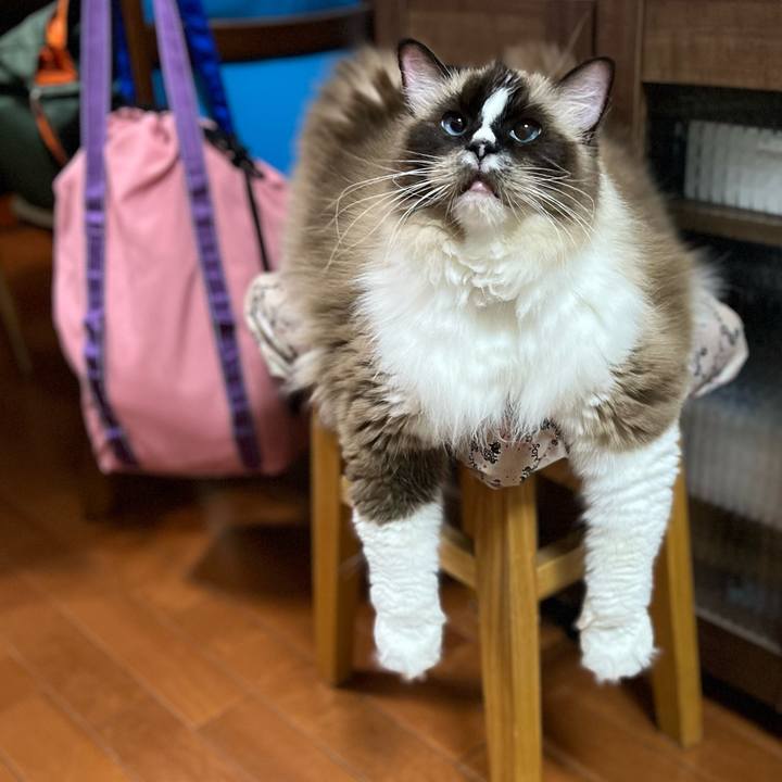 5f6b60d2 844c 48ff 86e8 826e1c3db19d 1733746004004