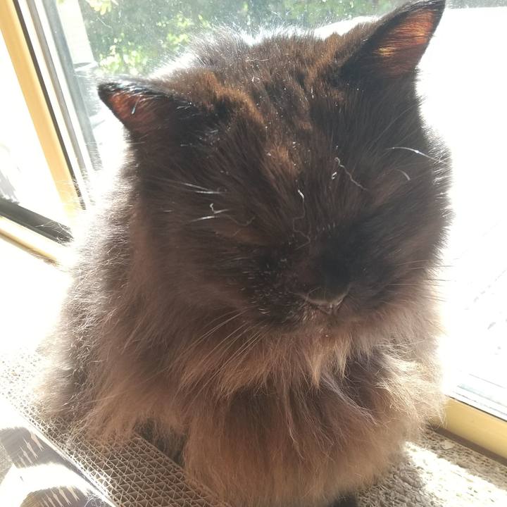 5f6b8b36 9c44 456a 8a0e 4fa15740b340 1665190691068