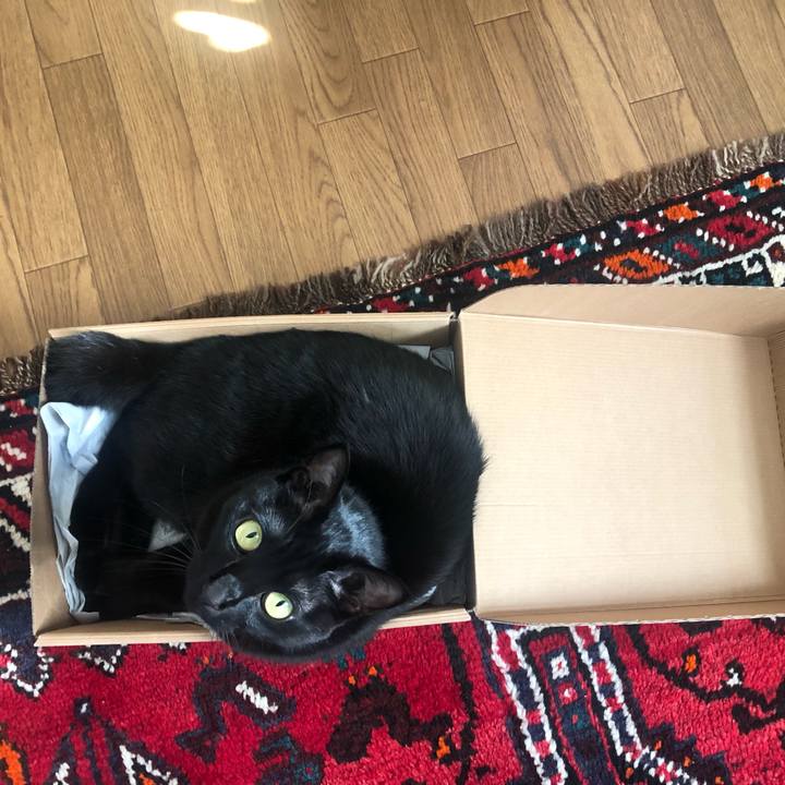 5f6b9285 d30c 4b2b b033 434b3cd9765b 1642468653144