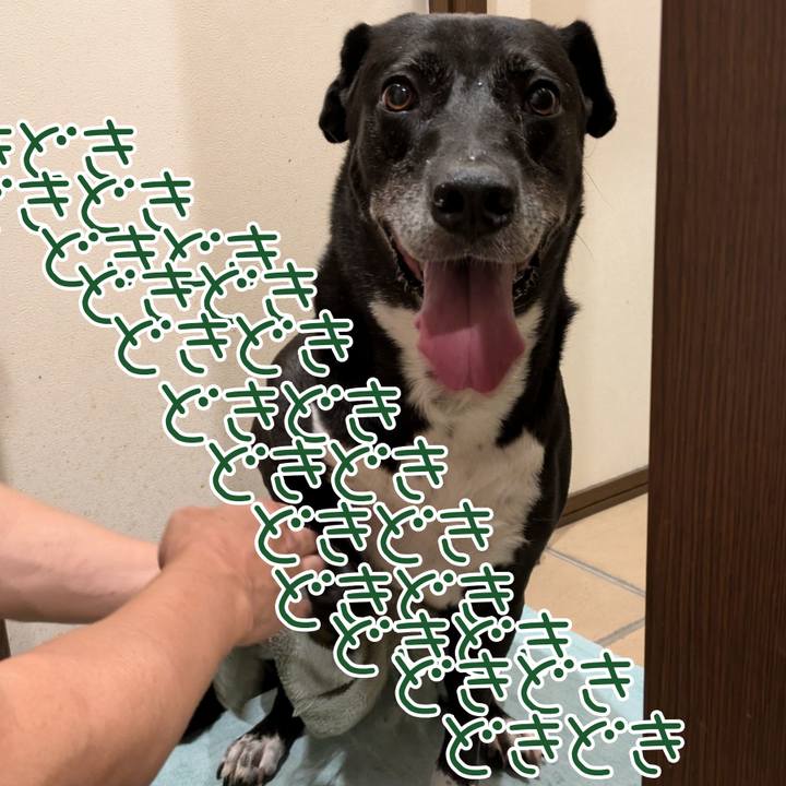 5f6ba0ec 8c25 4c79 8682 cdfc71523f03 1722681429398