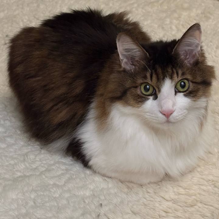 5f6bbf38 d87d 4983 85da 874a66329337 1770164267915