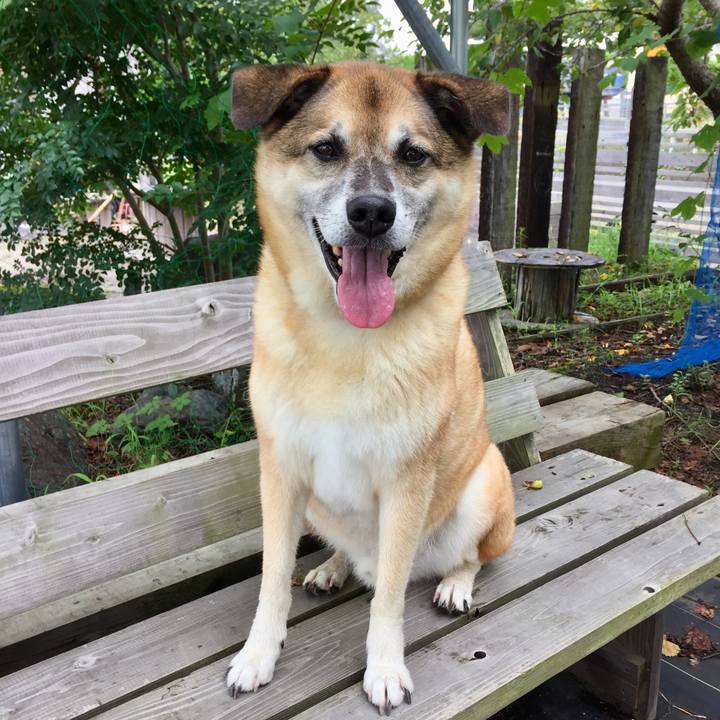 5f6bdc1d 266a 4327 b372 cb540ac61dc4 1567311516339