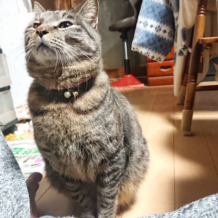 5f6bed4a d5c3 425f b175 6b397b771aed 1647550279144