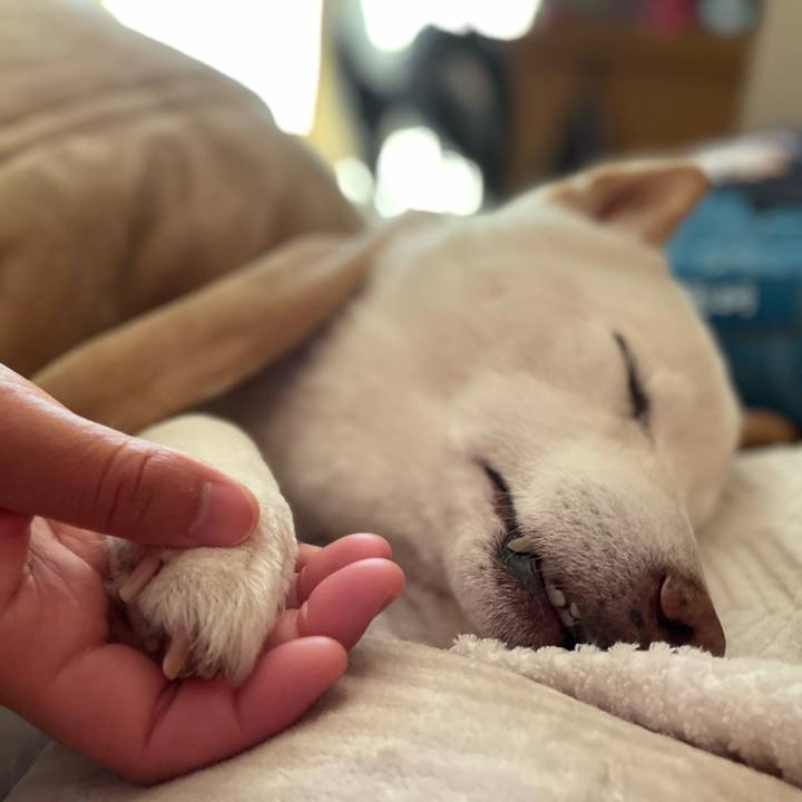 5f6c0dbc 4633 4862 acf6 58b4c036831d 1646913875373