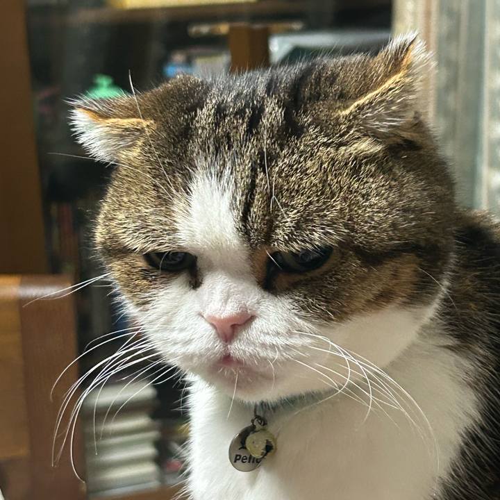 5f6c805b ccfb 4e28 83a9 657f75f108b0 1763240177514