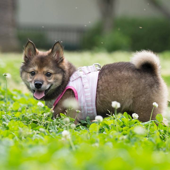 5f6c9c31 1bae 47c0 8037 889424a31fd0 1523617249755