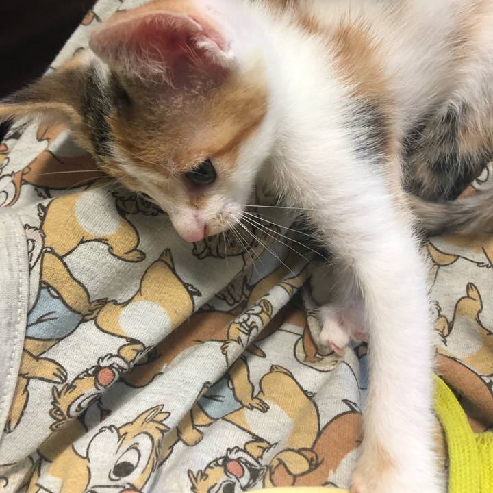 5f6caac5 d4d4 4ad7 b1fc 4959d9642179 1561332898912