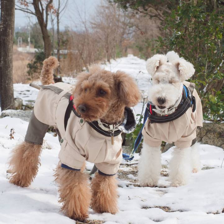 5f6cc6aa 5d6e 472c 8710 2a1fccb9dd30 1549787688750