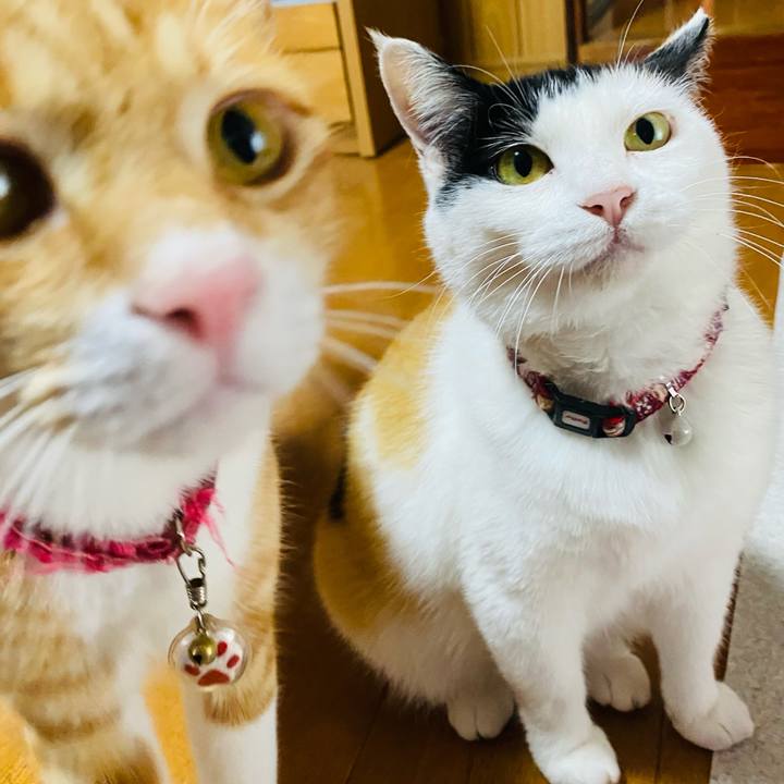 5f6ccc82 f768 4138 8b78 8f2ff88af221 1654127943361