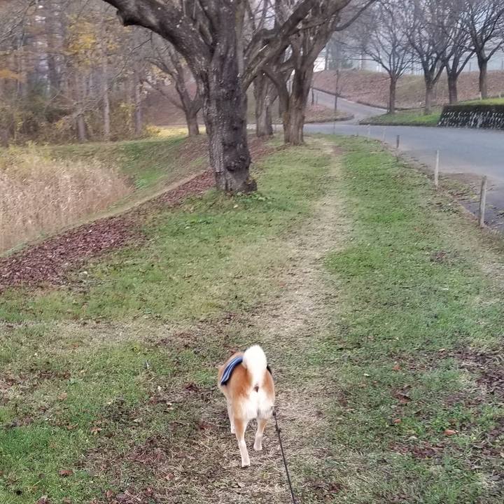 5f6cd298 664c 4ba0 a167 a3f21f7a95d7 1637306619133