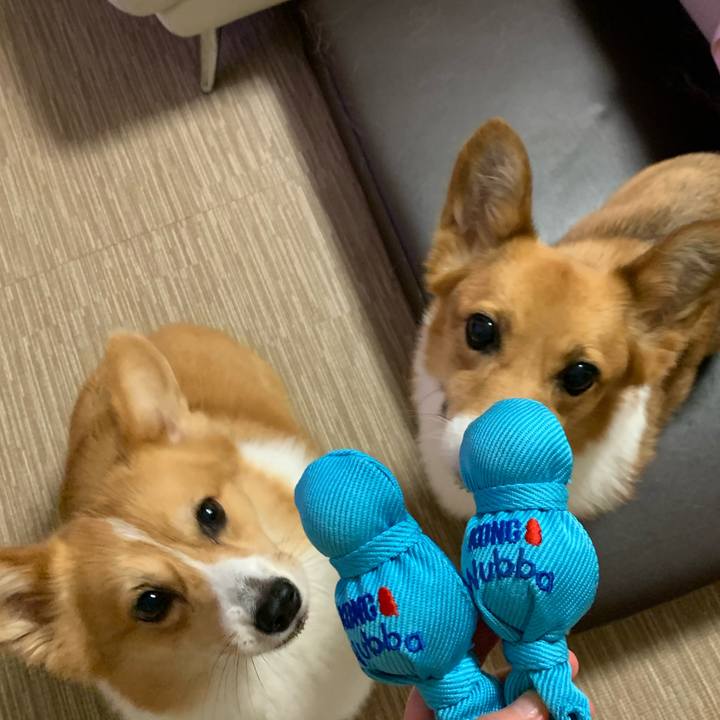 5f6d16c4 d87a 48a0 ad11 c6f058d1ac23 1596340792551