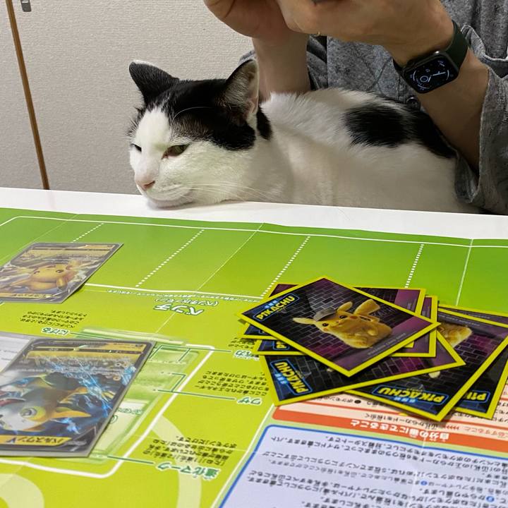 5f6d23a2 91f8 4786 862b 9391b5cac914 1614437249965