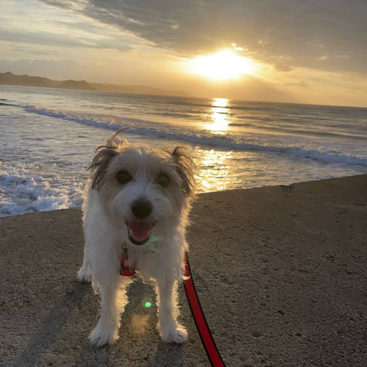 5f6d9ba3 79ce 47c0 b40f 7e25c9dbe6b3 1758324536414