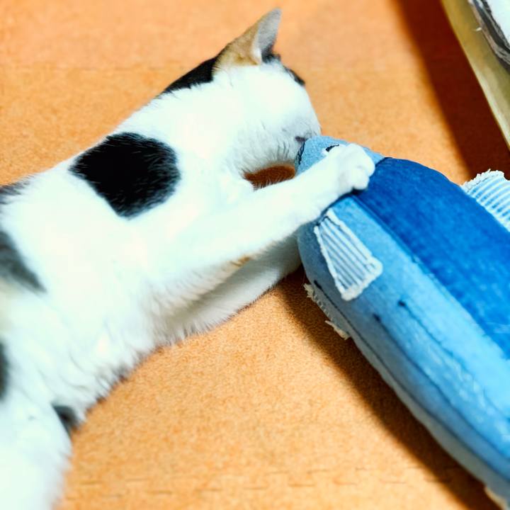 5f6da6d2 bddf 465a ba00 62a8cead278c 1539656120229