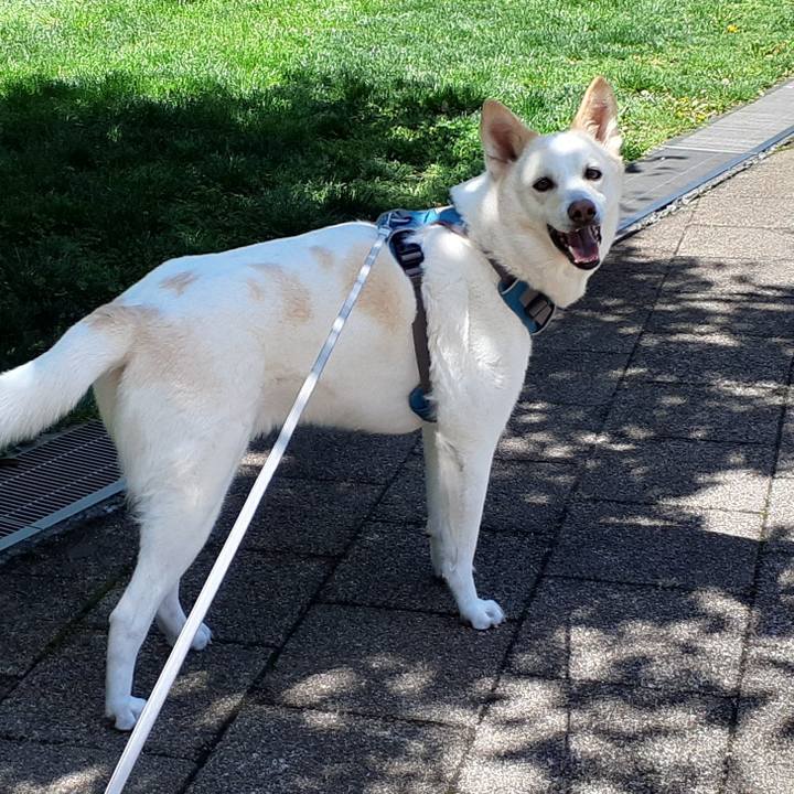 5f6da75d 8d97 40cc a762 a3f9794a941b 1651294993508