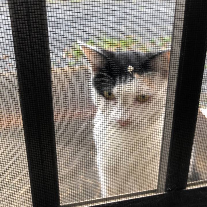 5f6dd603 3db2 4928 89af dcfb2af7571a 1599905577107