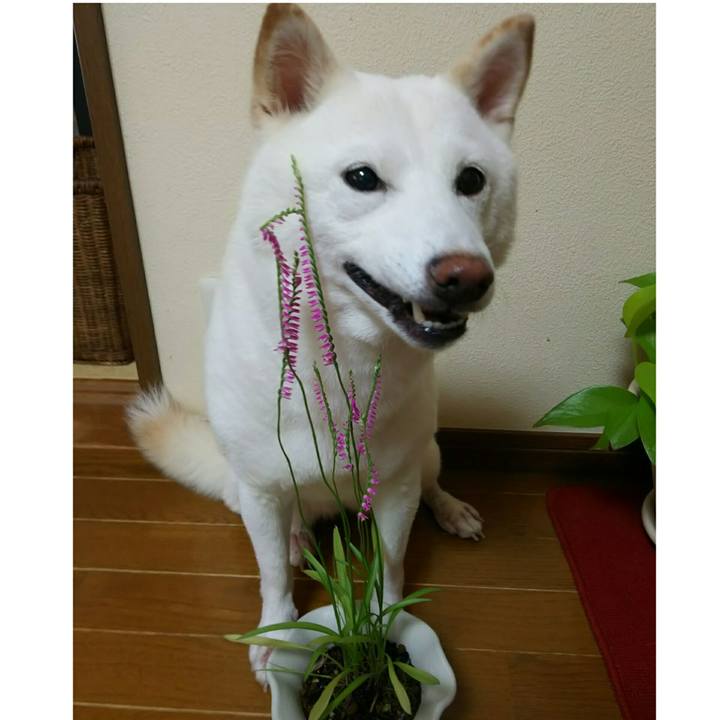 5f6e0445 a069 4b82 9f83 3c66c9d901c9 1593738056924