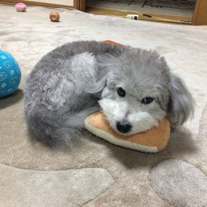 5f6e133d a9e0 4cf1 917e ebecb4aa48f9 1729589381849