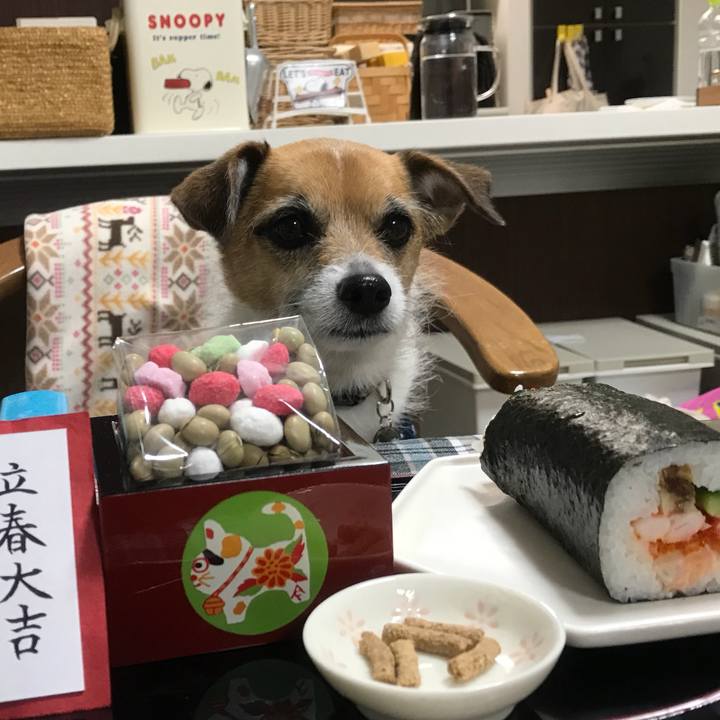 5f6e1561 17a7 4b70 b031 5cc91d89e022 1517702205864