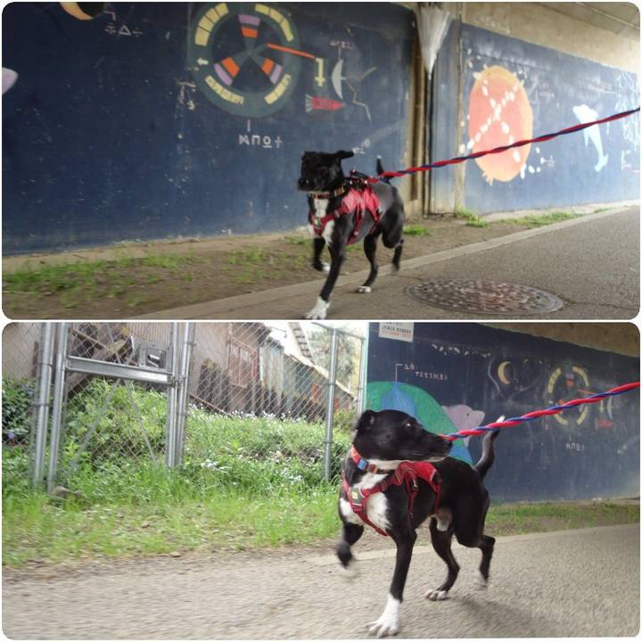 5f6e4269 42f8 4f23 9222 470168987a37 1586225979663