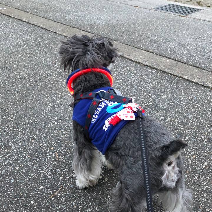 5f6e6b4b aa4d 42e2 ad42 26a59bbb297c 1636883682391