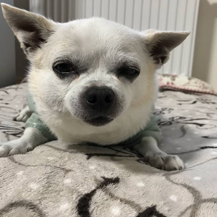 5f6e828e ec19 45bb ab71 c50f46178736 1648631910472