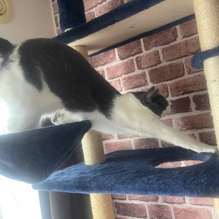 5f6e961b e858 40c7 a236 c22f87a5aa9f 1636867713543