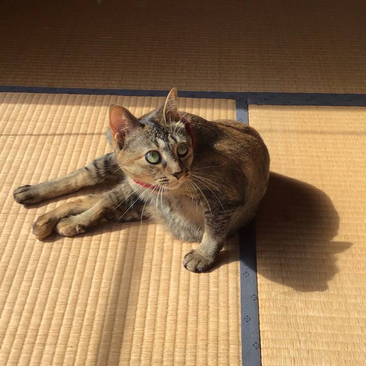 5f6ea150 4bb1 471b b2e6 cd948d3a142c 1602815789153