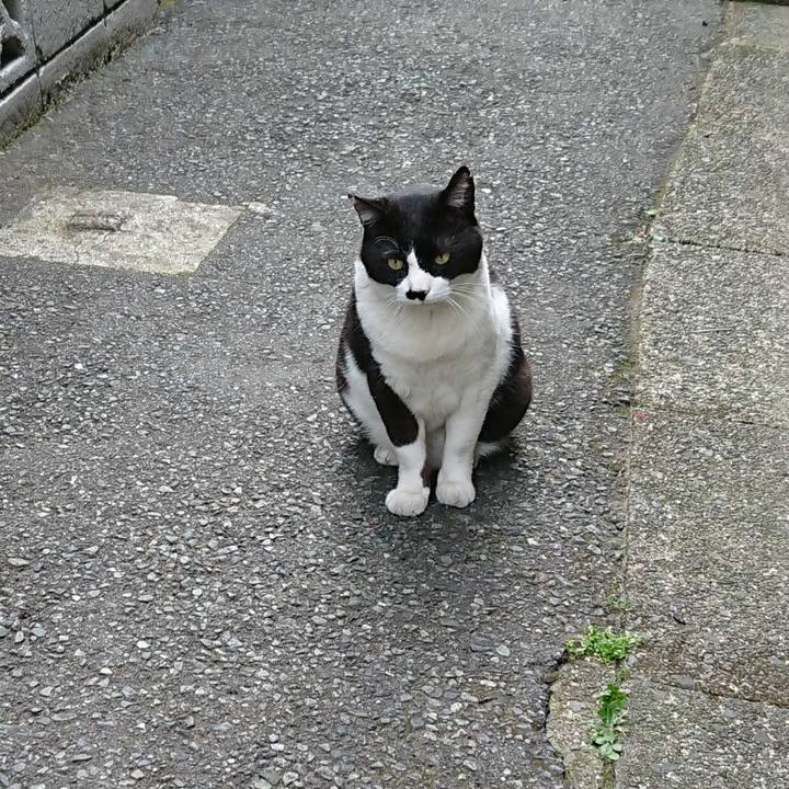 5f6f0778 eed1 479e addf 5b406014ad2e 1526564889664