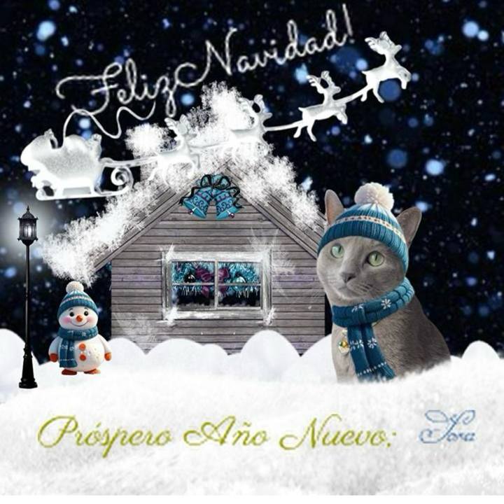 5f6f0a50 b413 4ac2 b13a b801a7e67634 1702204048886