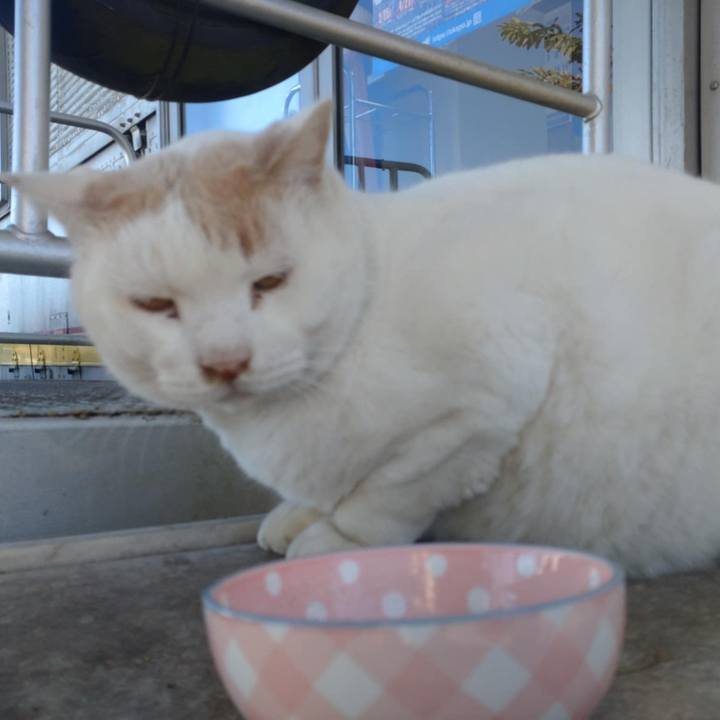 5f6f314d 0c63 4404 968d 3a30ac1863e8 1732433578356