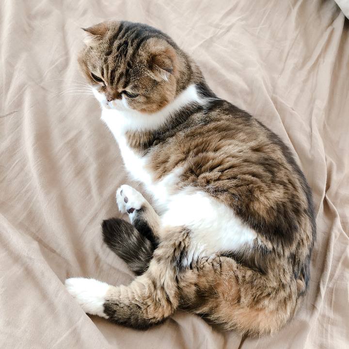 5f6f4014 5840 4247 9365 20c0808fda7a 1566362312353