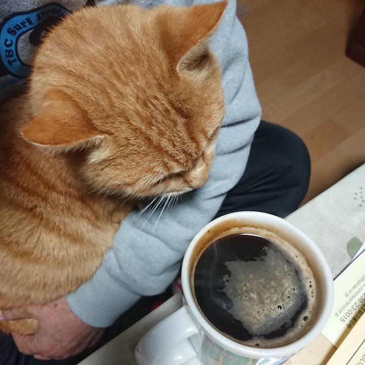 5f6f8195 75f5 45d2 b9c9 7ad62a8bc68a 1607284300209